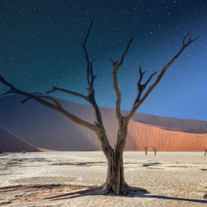 Namibia Tour