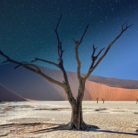 Namibia Tour