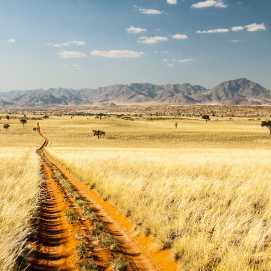 Namibia Tour