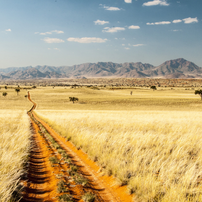 Namibia Tour